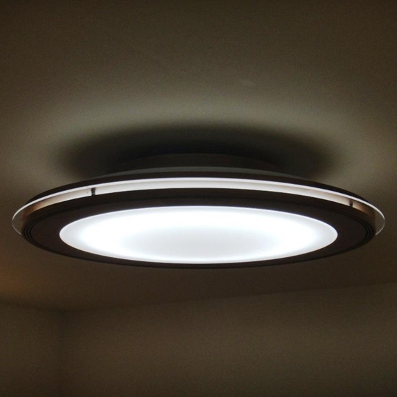 Ceiling Light